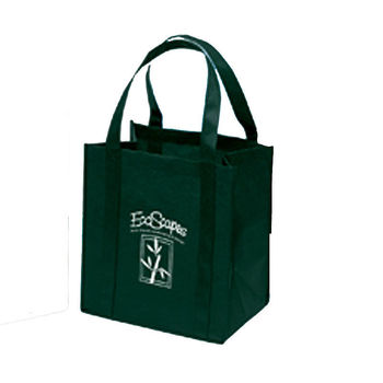 12" x 13" Little Grocery Tote, 20" Handles