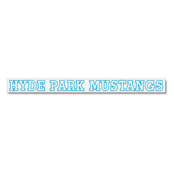 Clear Static Cling Inside Window Sticker - 1.5" x 18"
