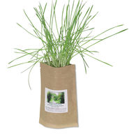 Spruce Up Your Home or Office - 2 oz. Sprout Pouch Comes w/ Everything You Need to Grow a Mini Garden Anywhere