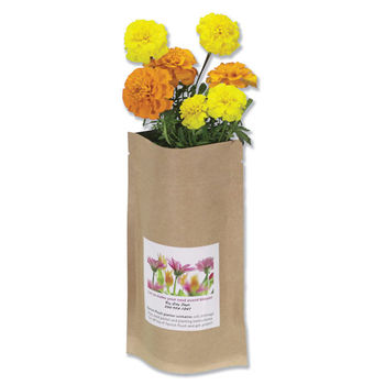 Spruce Up Your Home or Office - 4 oz. Sprout Pouch Comes w/ Everything You Need to Grow a Mini Garden Anywhere