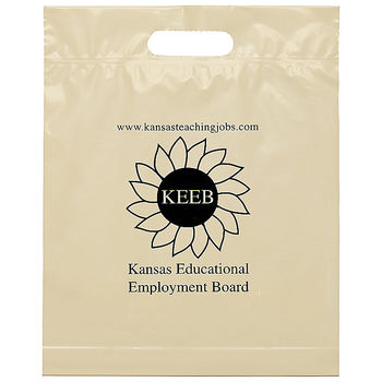 Plastic Bag with Die Cut Handle - 12" x 15"