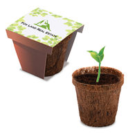 Coconut Plant Starter Kit with Soil Disk and Choice of Plant Seeds 