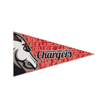 2.5" x 4.5" Pennant MAGNET with Full-Color Printing