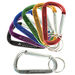Large 3 1/2" Carabiner Keytag
