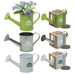 Mini Watering Can Blossom Kit