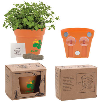 Small Planter Kit with Suction Cups for Window/Wall and Your Choice of Seeds
