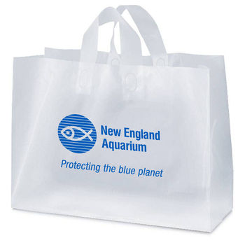 Frosted Plastic Shopping Bag - 16" x 12"