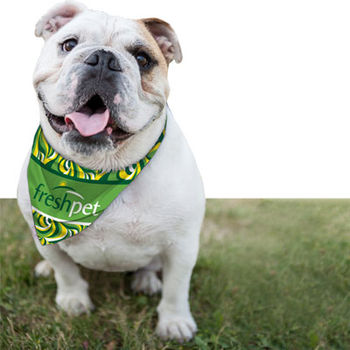 Dog Bandana with Full Color Printing