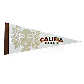 11" x 4.75" Felt Pennant with Full Color Printing