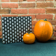 End-Open Mailer Boxes with Full-Color Printing (2 Size Options)