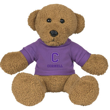 8.5" Plush Old-Timey Teddy Bear