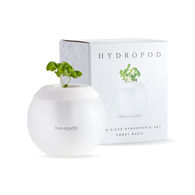 W&P® Hydropod - Desktop/Windowsill Grow Kit with Basil Seeds (W&P sold at Nordstrom, West Elm and Bloomingdale's)