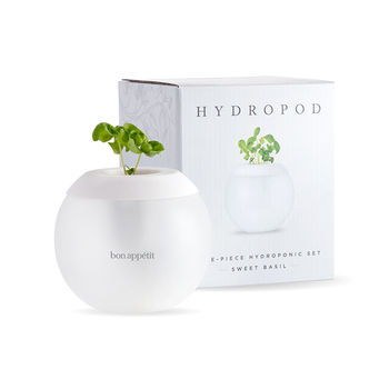 W&P&reg; Hydropod - Desktop/Windowsill Grow Kit with Basil Seeds (W&P sold at Nordstrom, West Elm and Bloomingdale's)