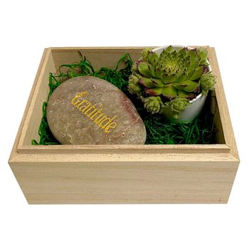 Gratitude Succulent Box with 'Gratitude'-Etched Rock 
