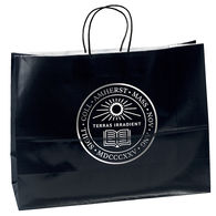 Glossy Paper Shopping Bag - 16