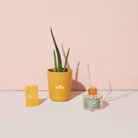 Modern Sprout® Find Balance Take Care Kit - Aloe