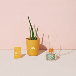 Modern Sprout&reg; Find Balance Take Care Kit - Aloe