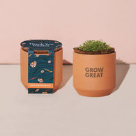 *NEW* Modern Sprout® Tiny Terracotta Grow Kit Thank You Daisies