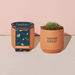 Modern Sprout&reg; Tiny Terracotta Grow Kit Thank You Daisies