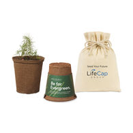 Modern Sprout® One For One Tree Kits