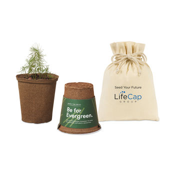 Modern Sprout&reg One For One Tree Kits