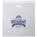22" X 22" Clear Plastic Bag with Die-Cut Handle and Tamper-Resistant Peel-&-Seal Closure - Stadium Security Approved 