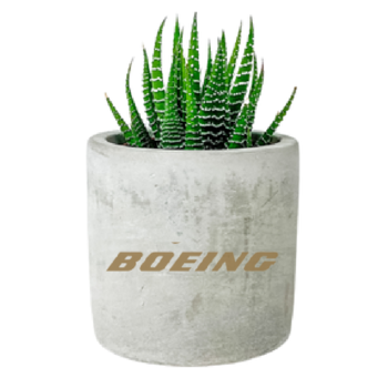 Mini Zebra Succulent or Jelly Bean Succulent Plant in a High-End Cement Pot - Hard to Kill!