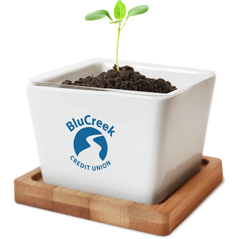 Ceramic Desktop Planter with Drainage Hole, Bamboo Base and Choice of 15+ Seed Options