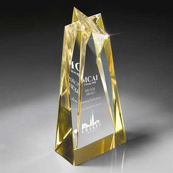 *NEW* Sculptured Lucite Star Award