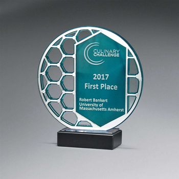 Reflective Excellence Circle With Silver Mirror Lucite Award