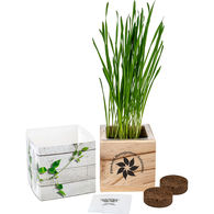 *NEW* Wooden Cube Grow Kit with Choice of Seeds Makes a Great Desk Gift