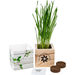 *NEW* Wooden Cube Grow Kit with Choice of Seeds Makes a Great Desk Gift