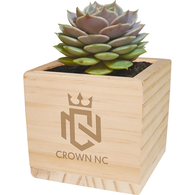 *NEW* Wooden Cube Grow Kit with Succulent