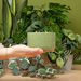 Ceramic Bowl Candle with Wrap-Around Imprint, 19 Scents To Choose From!
