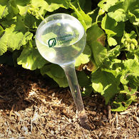 *NEW* Self-Watering Globe Gradually Releases Water Into Your Soil Ensuring Consistent Hydration