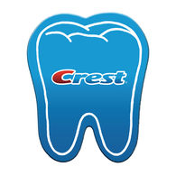 *NEW* Tooth Shaped Magnet