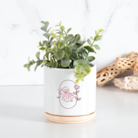 *NEW* 22 oz Ceramic Planter with Drain Hole and Stopper Includes Wildflower-Growing Seeded Paper and a Cover that Doubles as a Saucer