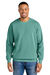 *NEW* Comfort Colors&reg;  Garment Dyed Crewneck Sweatshirt