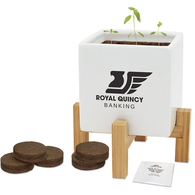 *NEW* Large Ceramic Desktop Planter with Drainage Hole, Removable Bamboo Stand, Soil Pods and Choice of 15+ Seed Options