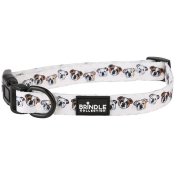*NEW* Full Color Collar for Medium-Sized Dog (Smaller Qty)