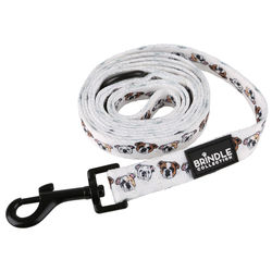 *NEW* Full Color Dog Leash (Smaller Qty)