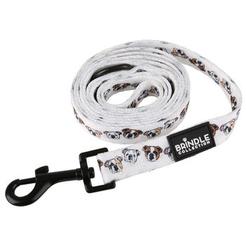 *NEW* Full Color Dog Leash (Smaller Qty)