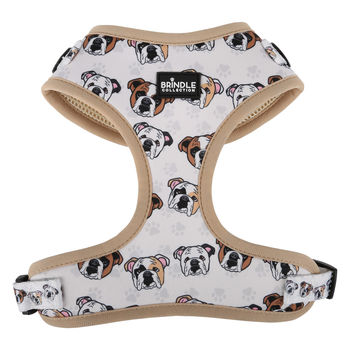 *NEW* Full Color Harness for Medium-Sized Dog (Smaller Qty)