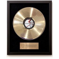 *NEW* Framed Gold Record - Recognize Your Rock-Star Employees!