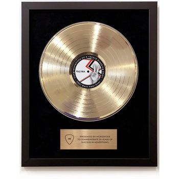 *NEW* Framed Gold Record - Recognize Your Rock-Star Employees!