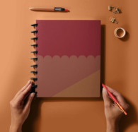 *NEW* Disc-Bound Journal, 9