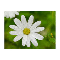 *NEW* 500 Piece Jigsaw Photo Puzzle - 12-Piece Minimum Order